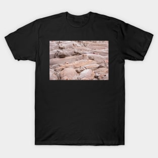 Wallowing Hippos (Serengeti) #5 T-Shirt